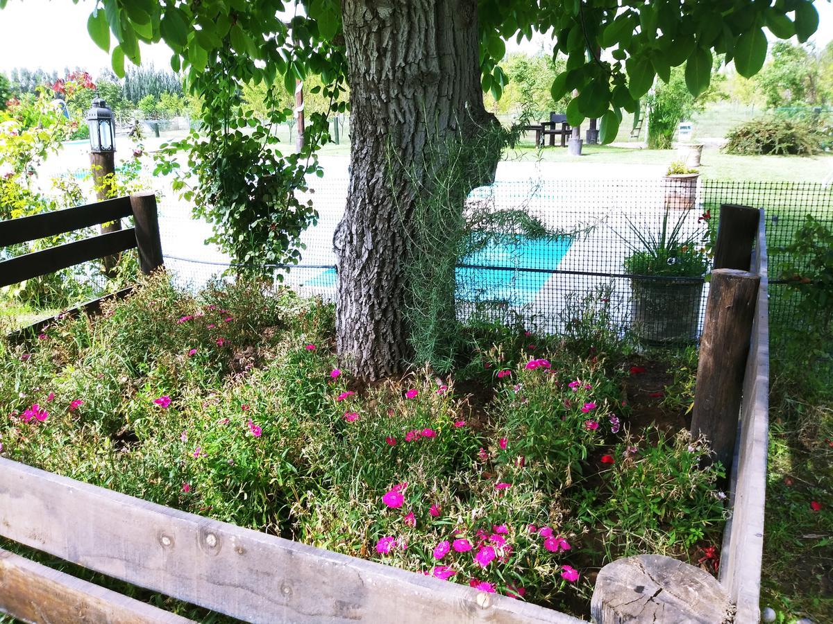 מלון Tunuyán Finca Los Almendros מראה חיצוני תמונה