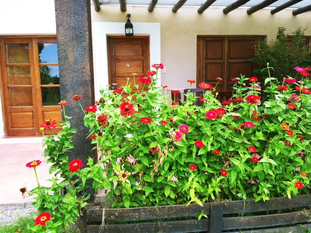 מלון Tunuyán Finca Los Almendros מראה חיצוני תמונה