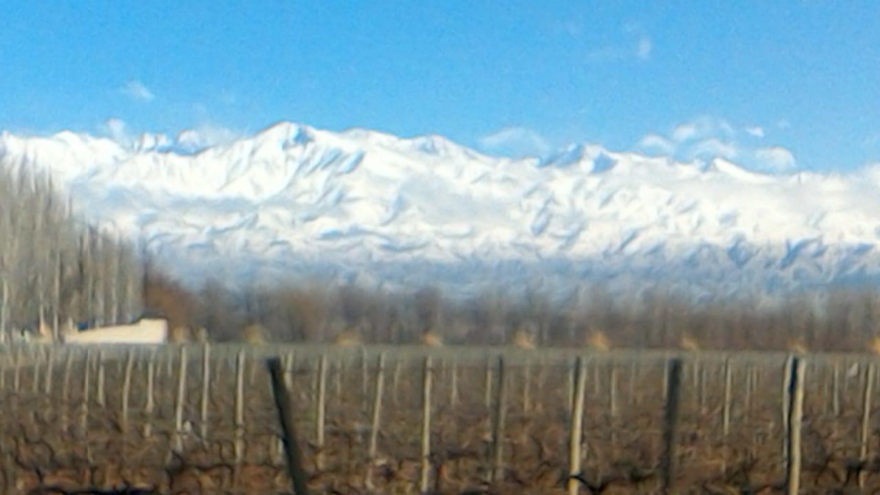 מלון Tunuyán Finca Los Almendros מראה חיצוני תמונה